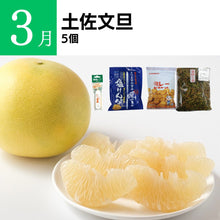 画像をギャラリービューアに読み込む, TABEGORO 「土佐のごっちょ便」(送料無料)