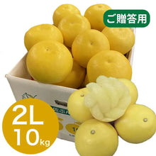 画像をギャラリービューアに読み込む, 『発送は2月初旬から』 露地文旦 10kg 2L