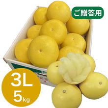 画像をギャラリービューアに読み込む, 『発送は2月初旬から』 露地文旦 5kg 3L