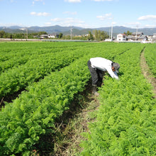 画像をギャラリービューアに読み込む, 「有機JAS認証人参を使用」にんじんジュース【1000ml】
