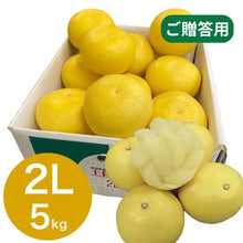 画像をギャラリービューアに読み込む, 『発送は2月初旬から』 露地文旦 5kg 2L