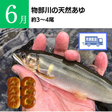 画像をギャラリービューアに読み込む, TABEGORO 「土佐のごっちょ便」(送料無料)