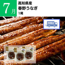 画像をギャラリービューアに読み込む, TABEGORO 「土佐のごっちょ便」(送料無料)