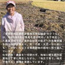画像をギャラリービューアに読み込む, 田舎寿司 ゆずの山・地粉うどん【1袋/200g×2個入】セット