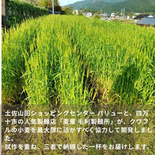画像をギャラリービューアに読み込む, 田舎寿司 ゆずの山・地粉うどん【1袋/200g×2個入】セット