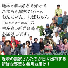 画像をギャラリービューアに読み込む, 高知の野菜(S)+調味料セット(単月)