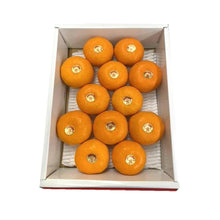 画像をギャラリービューアに読み込む, 『発送は6月から』 山北ハウスみかん 1.2kg