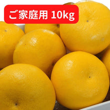 画像をギャラリービューアに読み込む, 『発送は2月初旬から』 土佐文旦『ご家庭用』 10kg 3L~2Lサイズ