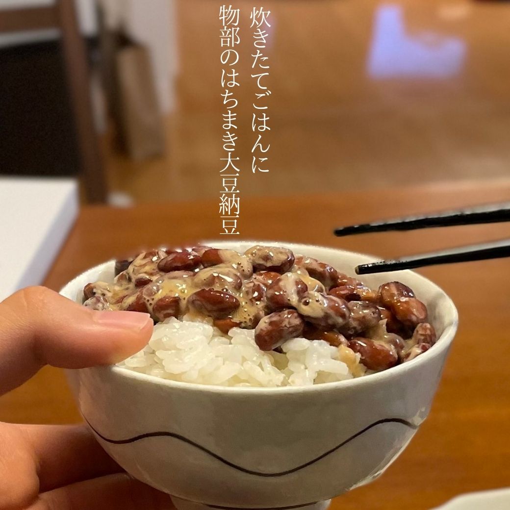 土佐寿司 ゆずの山と物部のはちまき大豆納豆のセット（寿司１ﾊﾟｯｸ・納豆2ｺ×2ﾊﾟｯｸ） – TABEGORO 土佐山田ショッピングセンター