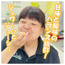 画像をギャラリービューアに読み込む, 『発送は6月から』 山北ハウスみかん 2.5kg