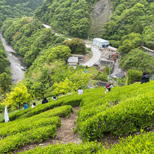 画像をギャラリービューアに読み込む, 物部「大抜茶」復活の会 令和7年度産 新茶