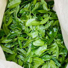 画像をギャラリービューアに読み込む, 物部「大抜茶」復活の会 令和7年度産 新茶