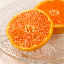 画像をギャラリービューアに読み込む, 『発送は6月から』 山北ハウスみかん 2.5kg