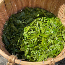 画像をギャラリービューアに読み込む, 物部「大抜茶」復活の会 令和7年度産 新茶