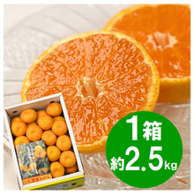 画像をギャラリービューアに読み込む, 『発送は6月から』 山北ハウスみかん 2.5kg