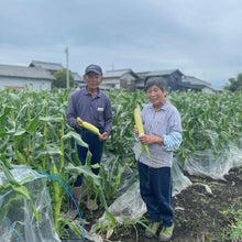 画像をギャラリービューアに読み込む, 『発送は6月から』フルーツコーン 4.5㎏(約10~13本)