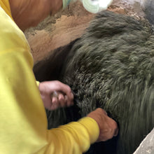 画像をギャラリービューアに読み込む, 物部「大抜茶」復活の会 令和7年度産 新茶