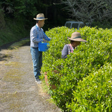 画像をギャラリービューアに読み込む, 物部「大抜茶」復活の会 令和7年度産 新茶