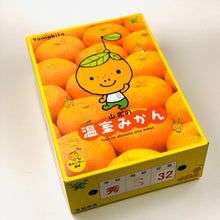 画像をギャラリービューアに読み込む, 『発送は6月から』 山北ハウスみかん 2.5kg