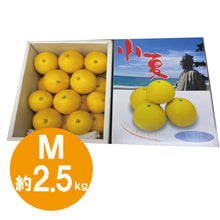 画像をギャラリービューアに読み込む, ハウス小夏 Mサイズ 2.5kg