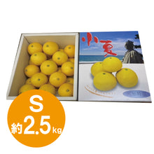 画像をギャラリービューアに読み込む, ハウス小夏 Sサイズ 2.5kg