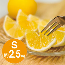 画像をギャラリービューアに読み込む, ハウス小夏 Sサイズ 2.5kg