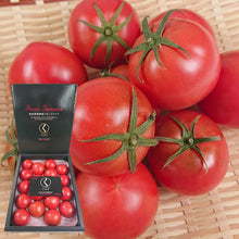 画像をギャラリービューアに読み込む, 『発送は2月初旬から』久保さんのフルーツトマト