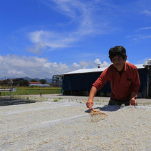 画像をギャラリービューアに読み込む, 釜揚げしらす天日干しギフトセット1kg