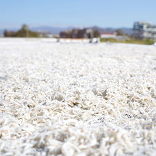 画像をギャラリービューアに読み込む, 釜揚げしらす天日干しギフトセット