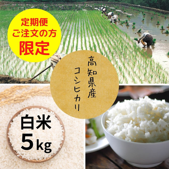 高知県産コシヒカリ5kg　トッピング商品