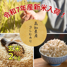 画像をギャラリービューアに読み込む, 【令和7年度産  販売開始】高知県産　コシヒカリ玄米 2kg　
