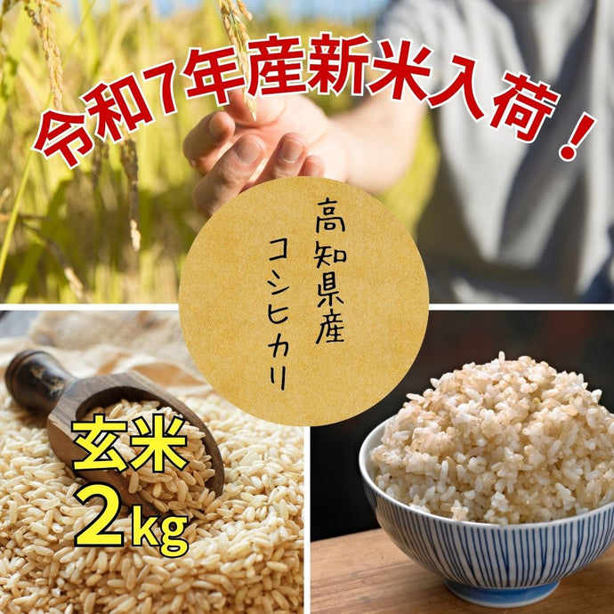 【令和7年度産  販売開始】高知県産　コシヒカリ玄米 2kg　