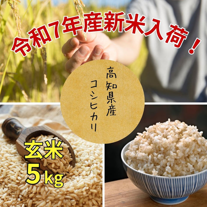 【令和7年度産  販売開始】高知県産　コシヒカリ玄米 5kg　