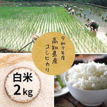 画像をギャラリービューアに読み込む, 【令和7年度産】高知県産　コシヒカリ2kg　
