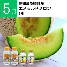 画像をギャラリービューアに読み込む, TABEGORO　「土佐のごっちょ便」（送料無料）
