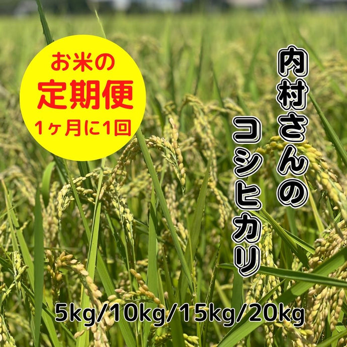 内村誠さんのコシヒカリ　定期便　(5kg～20kg）/月1回