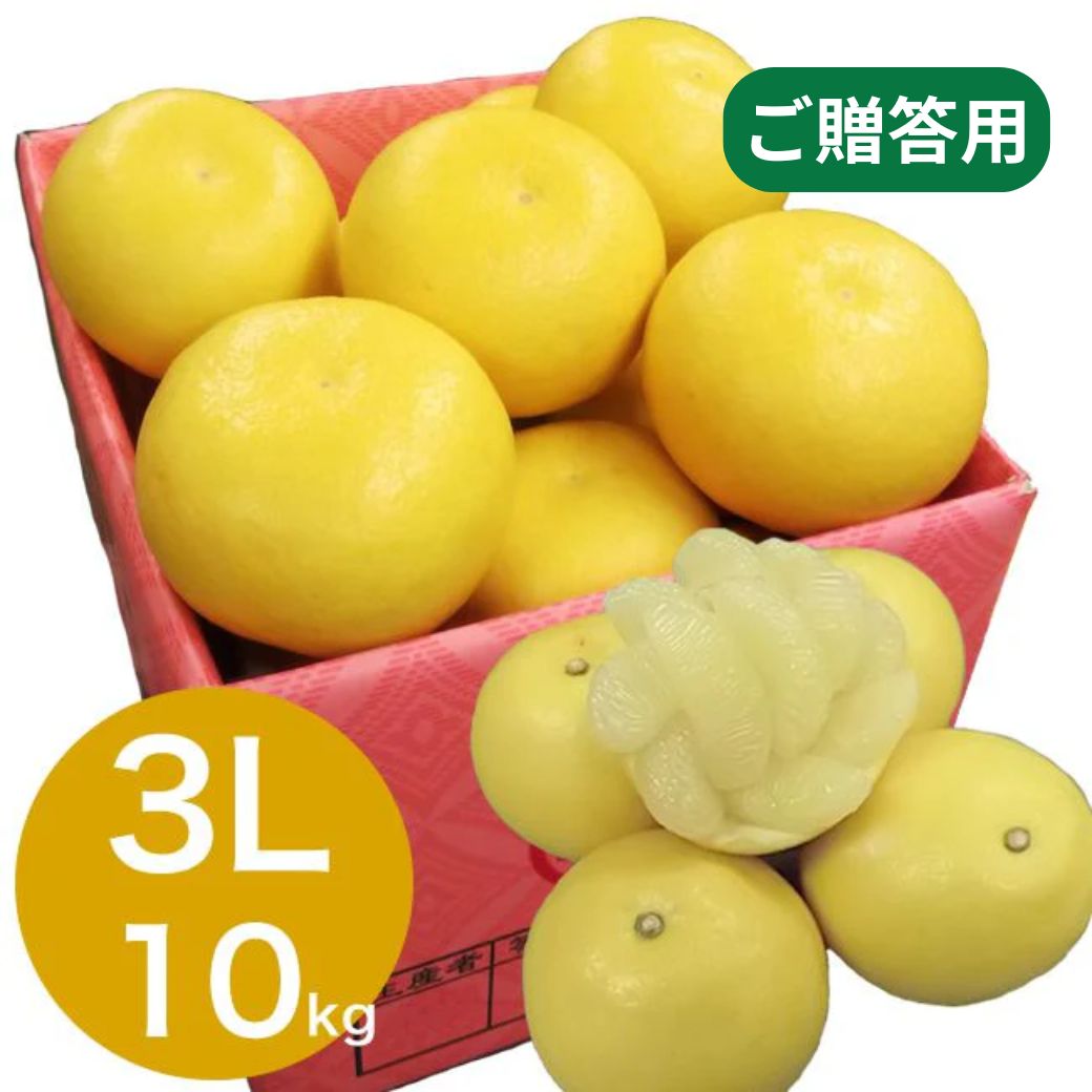 3L 文旦　10kg 06 露地文旦3L-10kg-TABRGORO- – TABEGORO 土佐山田ショッピングセンター