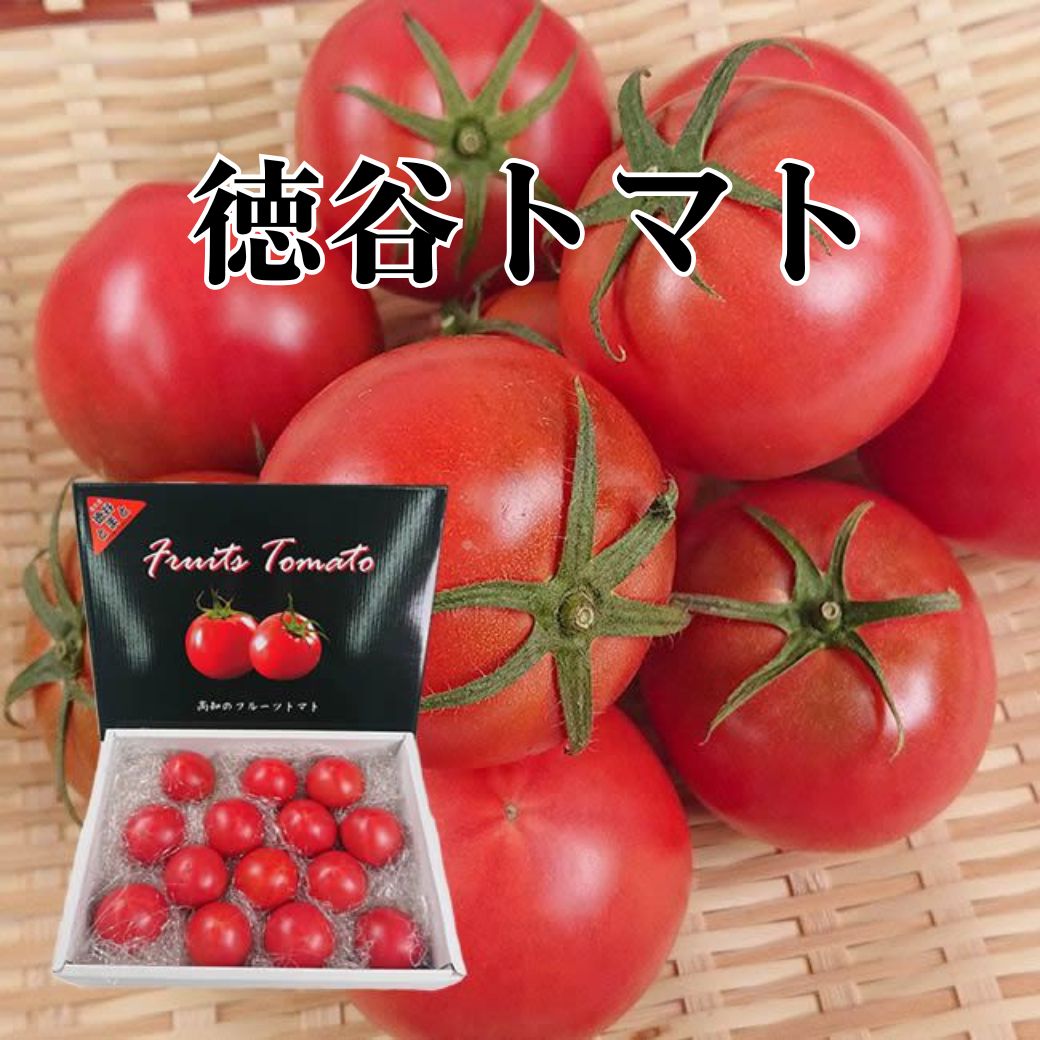 徳谷トマト（フルーツトマト）-TABRGORO- – TABEGORO 土佐山田