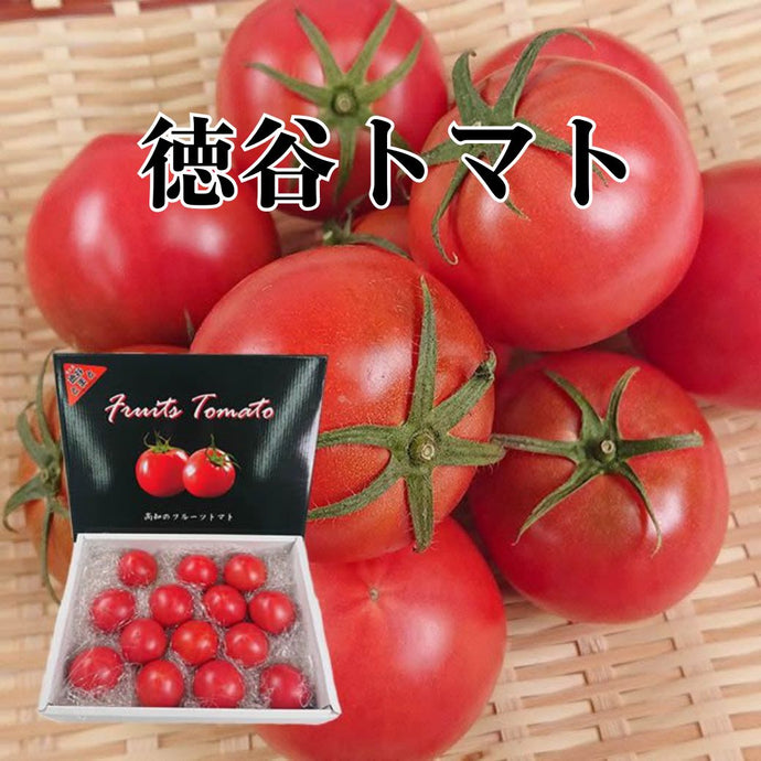 とまとページ 徳谷トマト（フルーツトマト）-TABRGORO- – TABEGORO 土佐山田