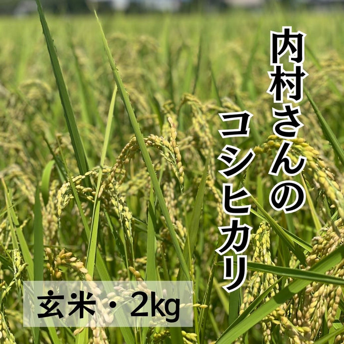 内村誠さんのコシヒカリ玄米2㎏