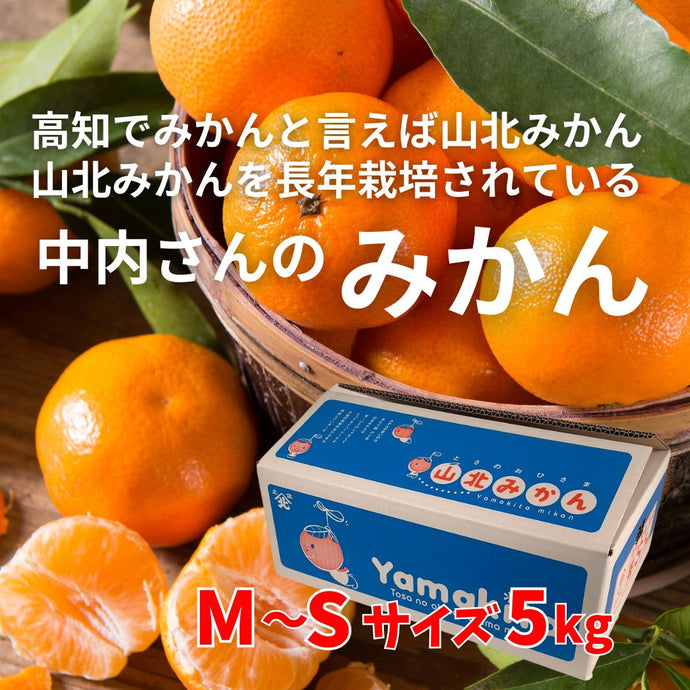 中内さんのみかん　【M～Sサイズ・約5ｋｇ】