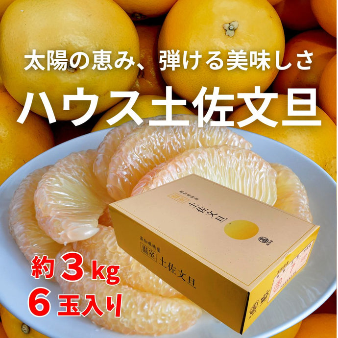 ハウス文旦 【約3㎏・6玉入】