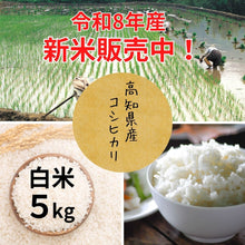 画像をギャラリービューアに読み込む, 【令和8年度産】高知県産　コシヒカリ5kg　
