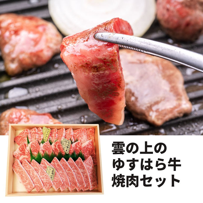 雲の上のゆすはら牛焼肉セット