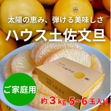 画像をギャラリービューアに読み込む, ハウス文旦『ご家庭用』 【約3㎏・5～6玉入】
