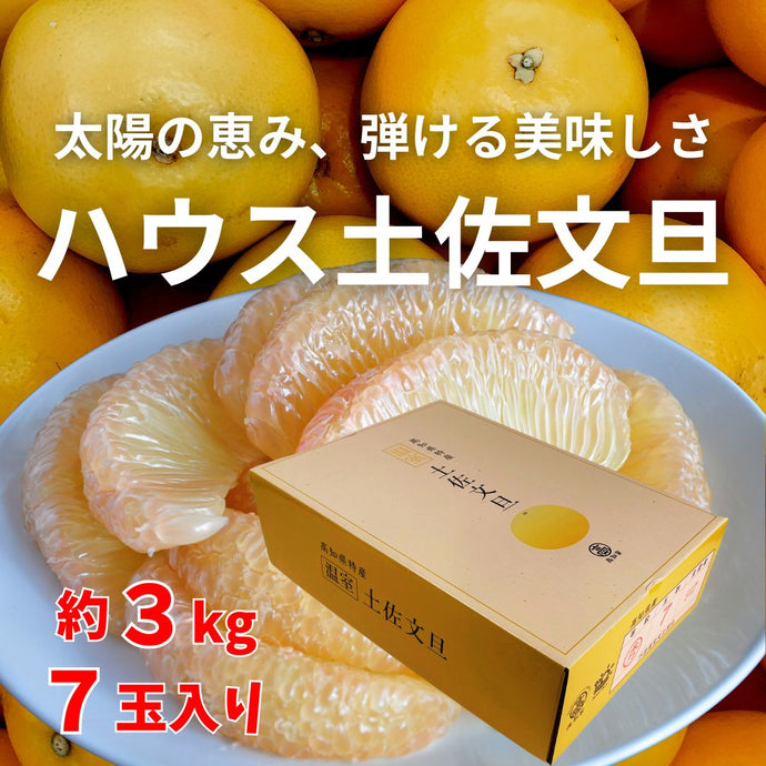 ハウス文旦 【約3㎏・7玉入】