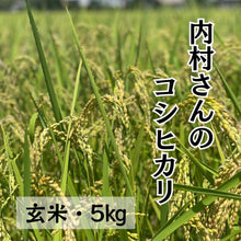 画像をギャラリービューアに読み込む, 内村誠さんのコシヒカリ玄米5㎏
