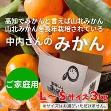 画像をギャラリービューアに読み込む, 中内さんのみかん『ご家庭用』　【L～Sサイズ・約3kg】
