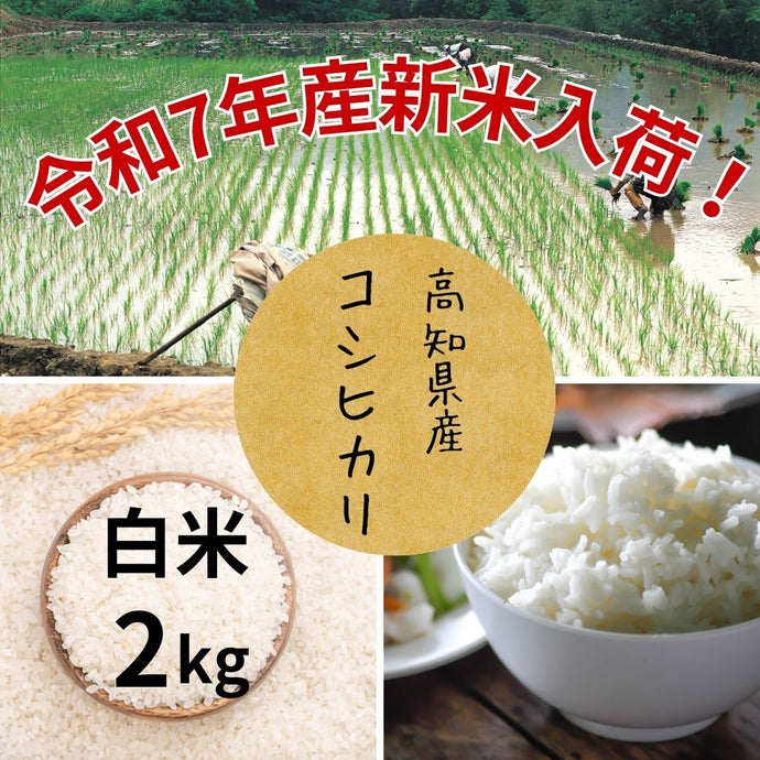 【令和7年度産  販売開始】高知県産　コシヒカリ2kg　