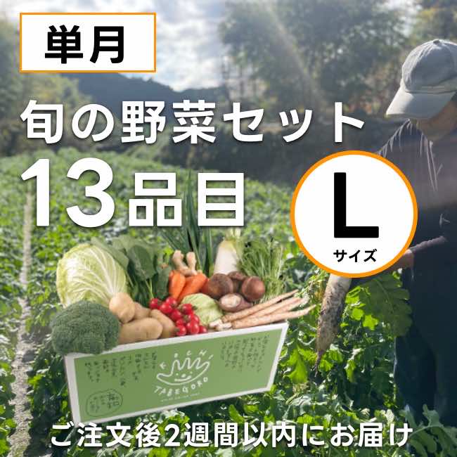 高知の野菜セット（L）単月